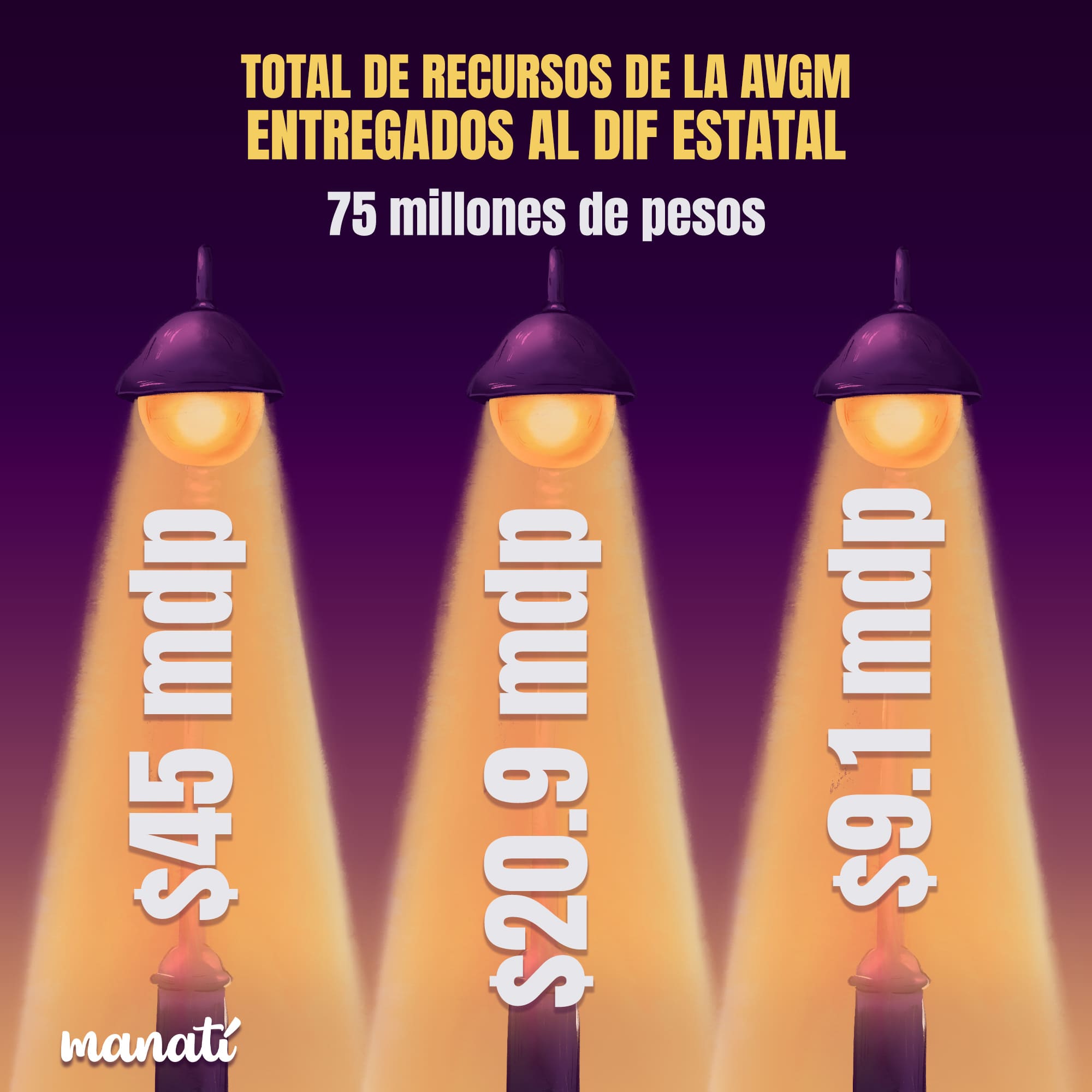 Los fondos perdidos de la alerta de género: un apagón en el DIF 2 Imagen Original