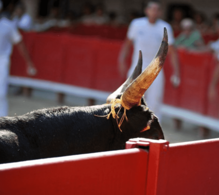 Analizan regidores prohibición de corridas de toros en la ciudad de Puebla