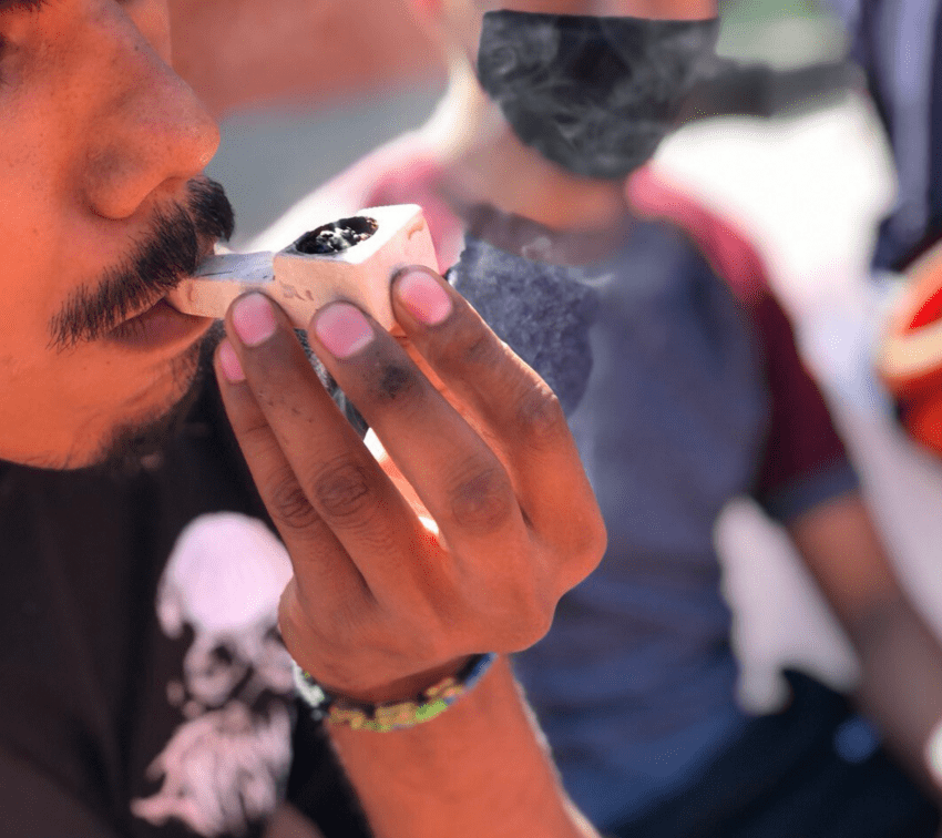 Planean jardín cannábico en Paseo Bravo para combatir prejuicios sobre la marihuana