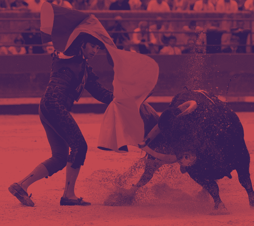 Organizaciones exigen prohibición de corridas de toros en Puebla