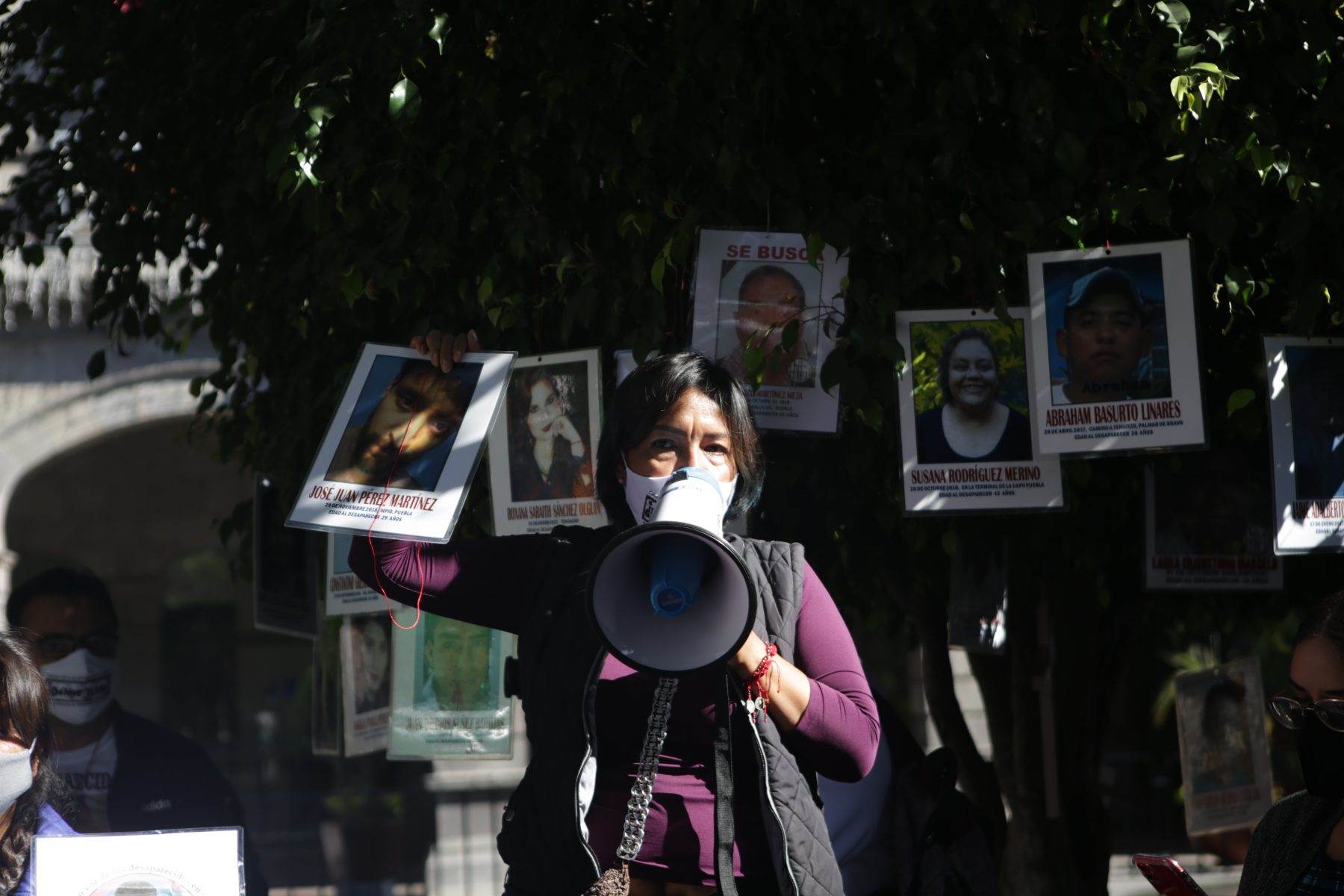 Este 7 de diciembre de 2020, familiares de víctimas de desaparición forzada colocaron en los árboles del Zócalo los retratos de sus seres queridos. Fotografía: Daniela Portillo.