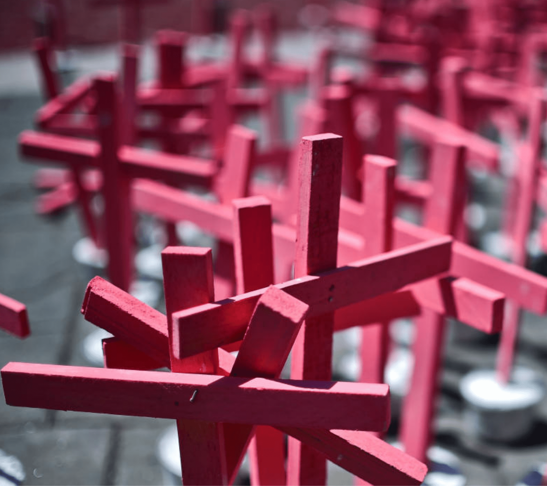 Cruces rosas para las mujeres víctimas de feminicidio