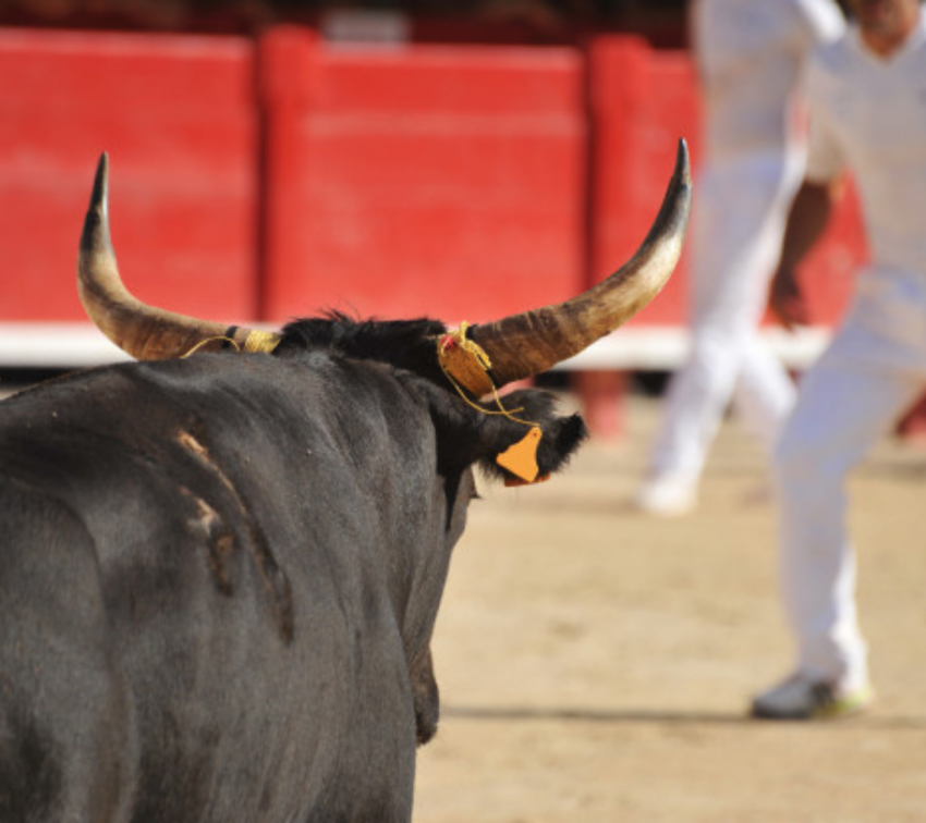 Regidores bloquean prohibición de corridas de toros en Puebla
