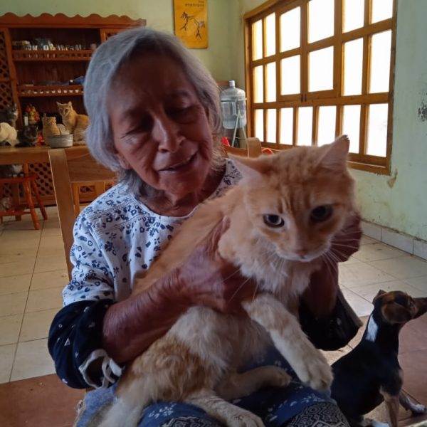 En los últimos años de su vida, Conchita reunió a docenas de gatos. La historia es breve: un gato, El Chamuco, raptó a una gatita pequeña y tuvo tres tandas de hijos. Después unas vecinas arrojaron a la casa de Conchita a tres gatas más. Ahí empezó la explosión demográfica.
