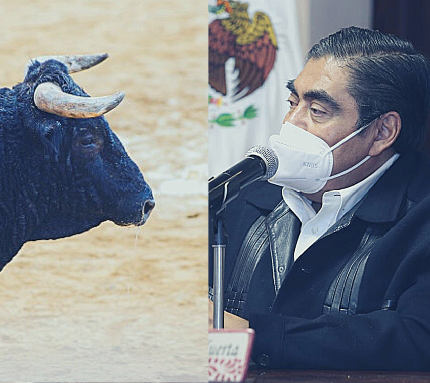 Se opone Barbosa a la prohibición de corridas de toros en Puebla