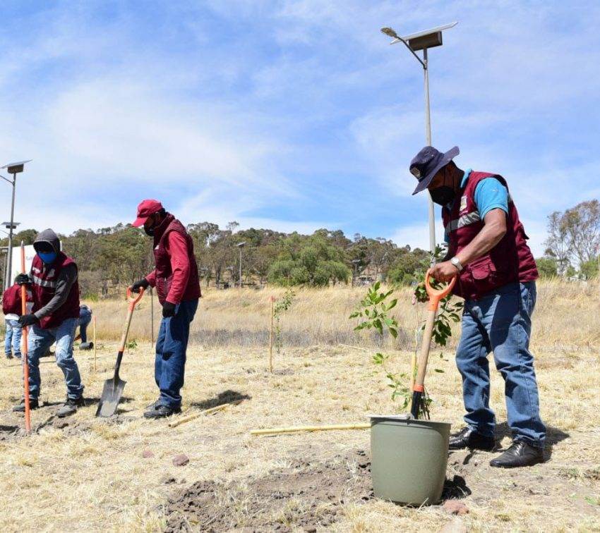 Sembrarán más de 10 mil árboles en la ciudad de Puebla