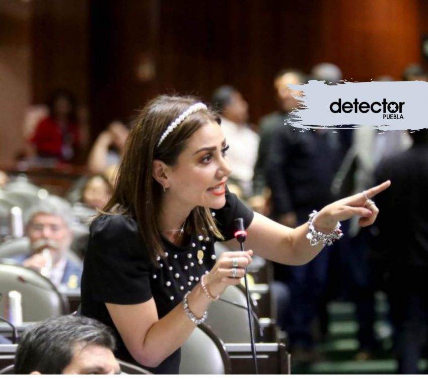 No hay pruebas de la supuesta red de prostitución en la Cámara de Diputados develada por Nay Salvatori