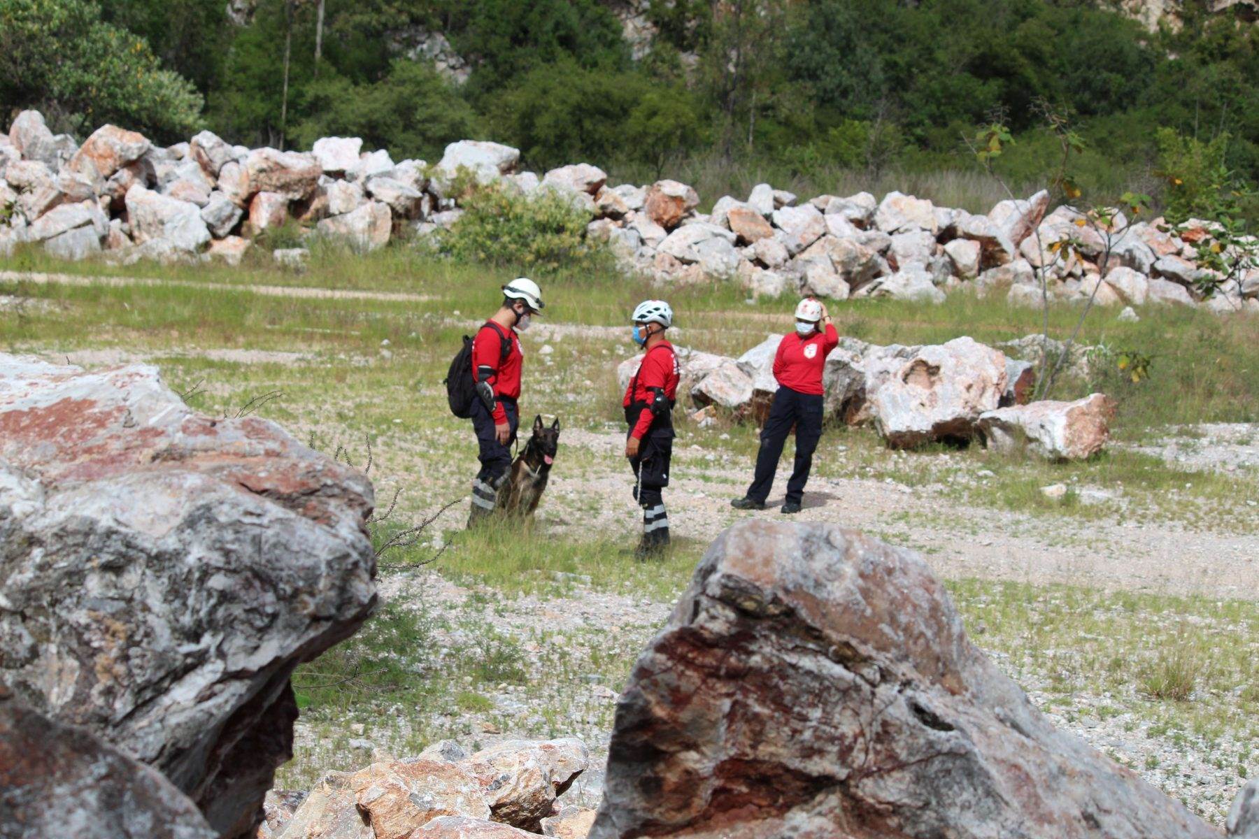 Existen distintos equipos de rescatistas en México. Algunos se especializan en rescate alpino y otros en extensiones más grandes de búsqueda.
