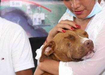 Spay, uno de los perros que cayó al socavón, se reencuentra con su familia