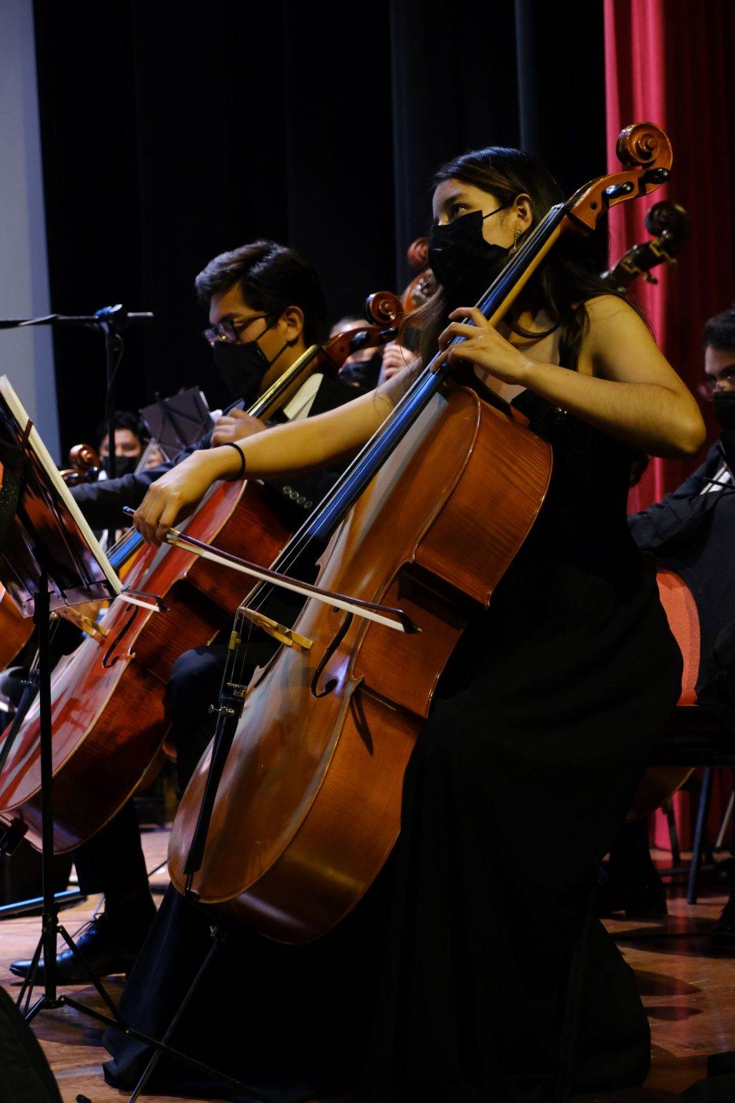 Orquesta Filarmónica de Puebla: integrantes
