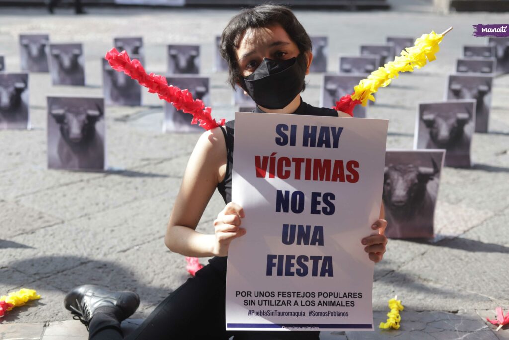 activista contra las corridas de toros en Puebla tauromaquia zacatlán