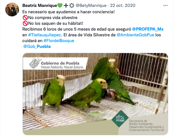 tráfico de animales en Puebla