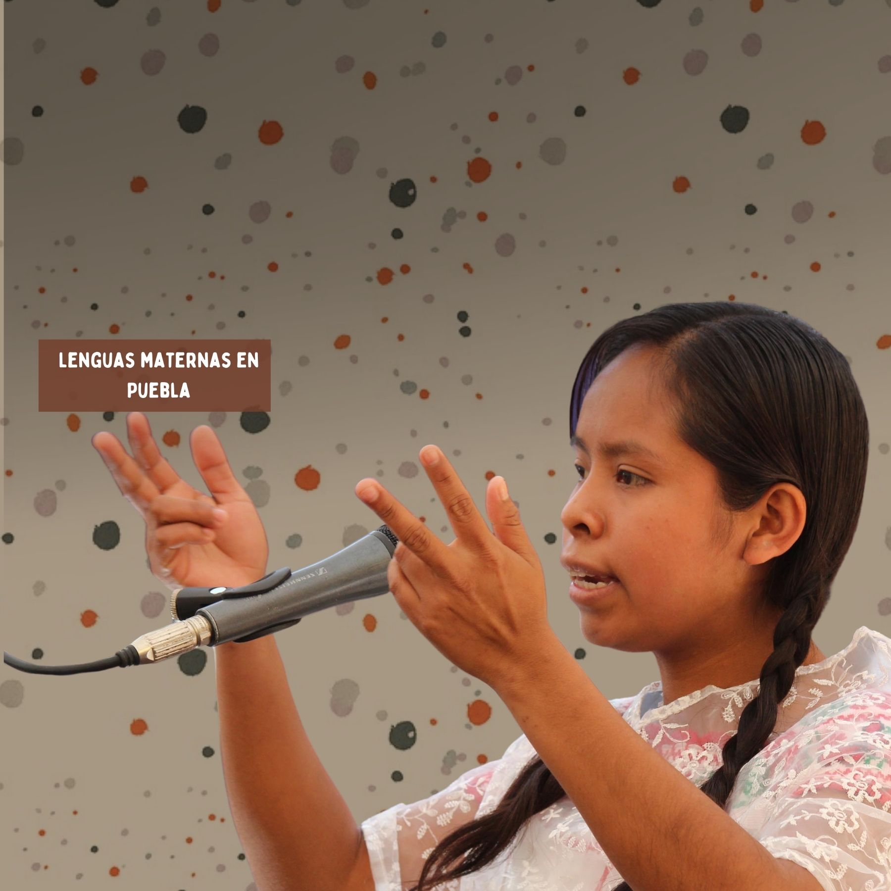 Lengua materna en puebla lenguas indígenas