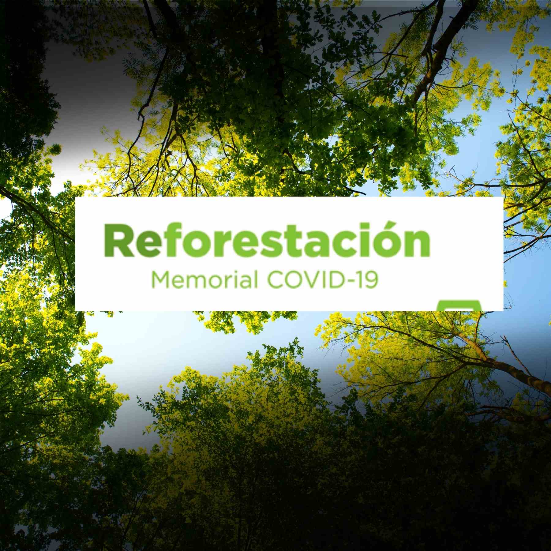 reforestación BUAP