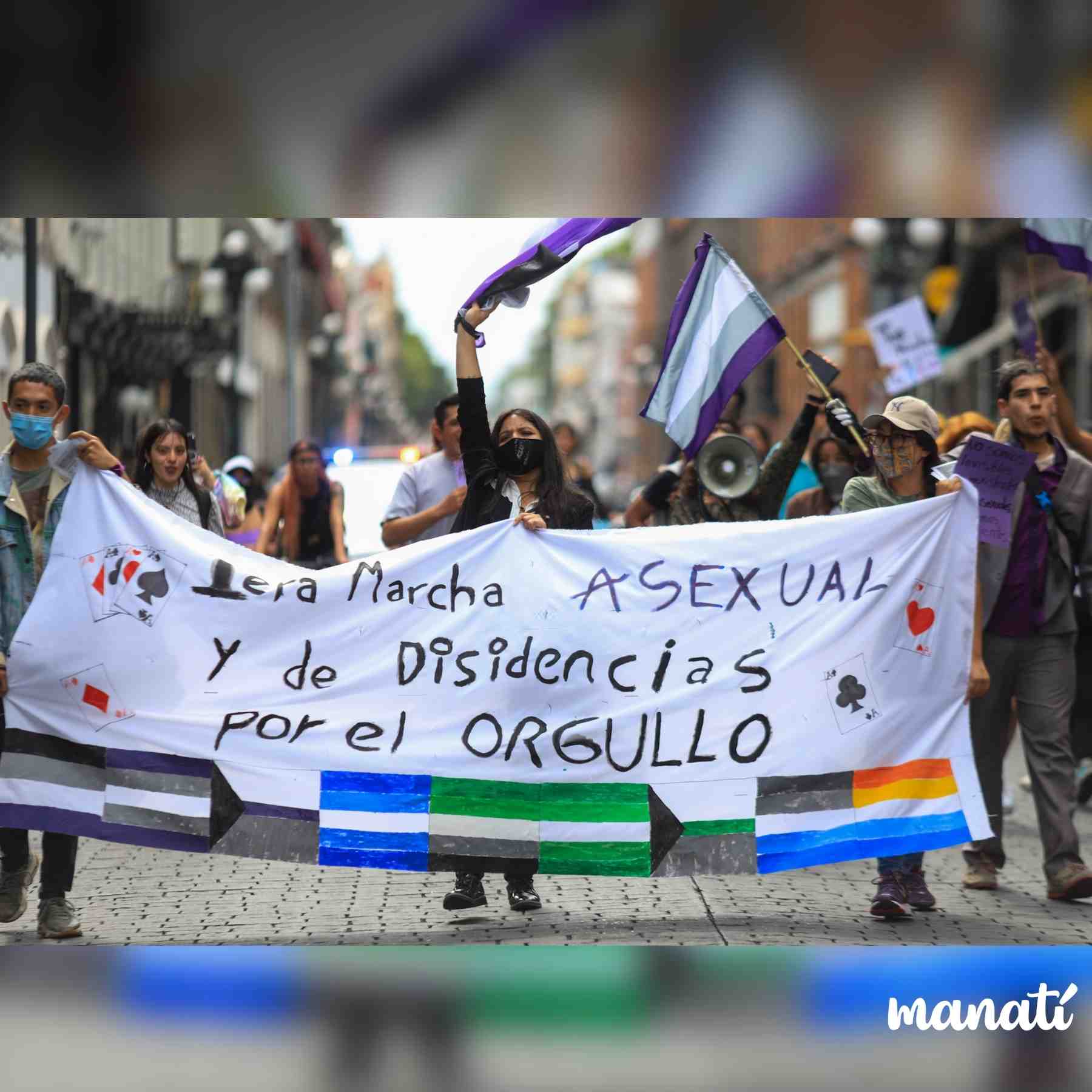 marcha asexual en puebla