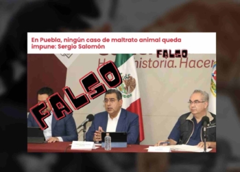 maltro animal puebla falso