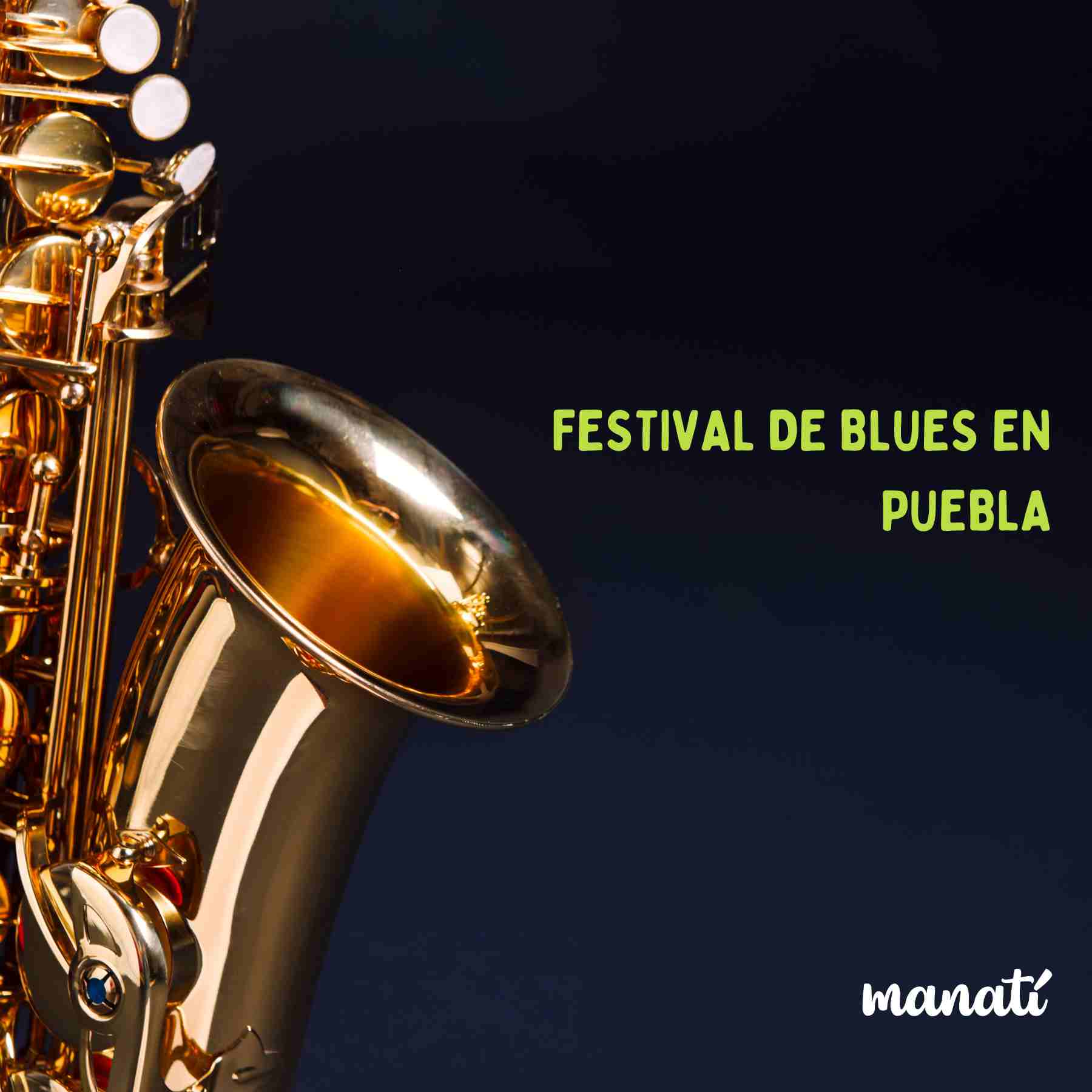 Festival de Blues Puebla