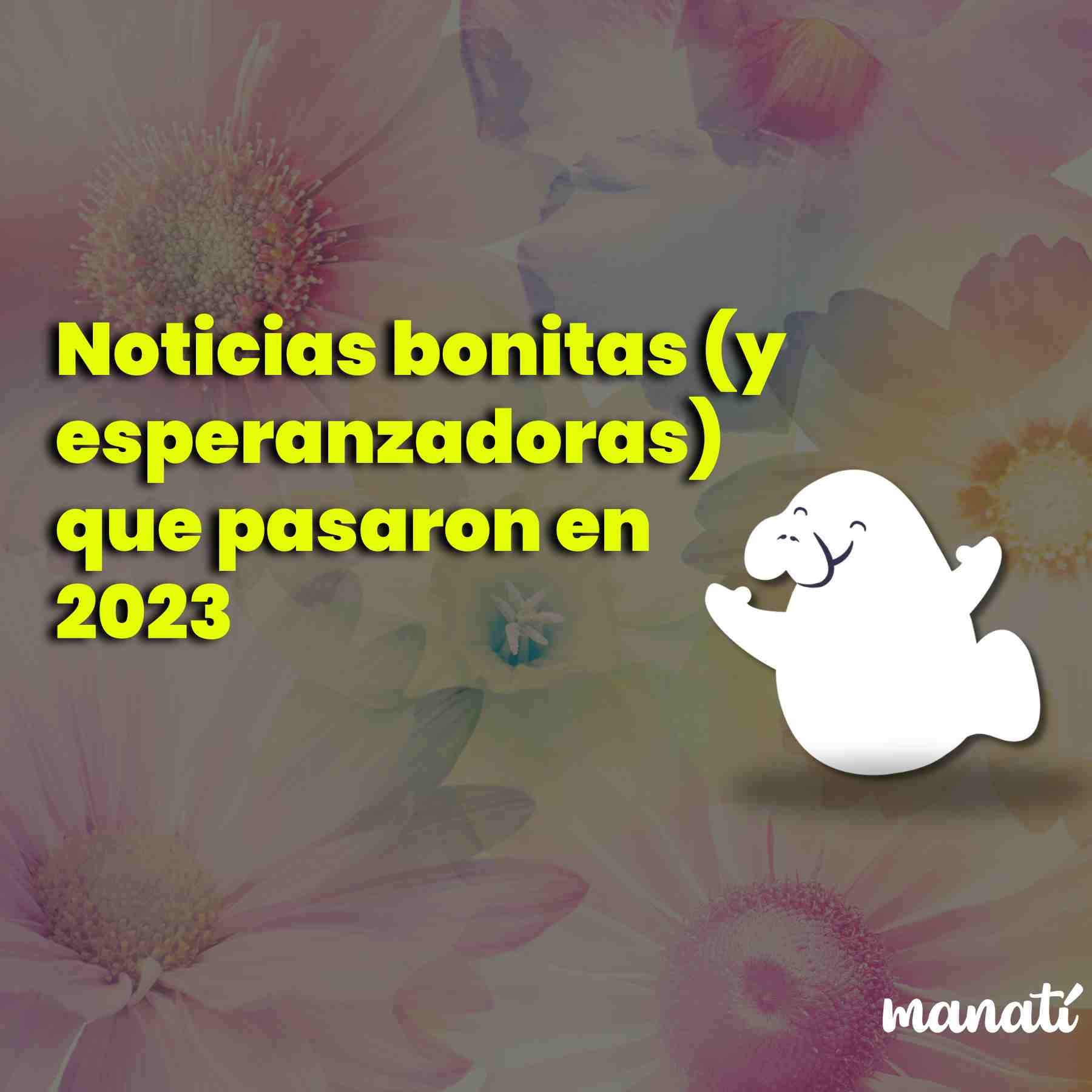 noticias bonitas 2023 puebla