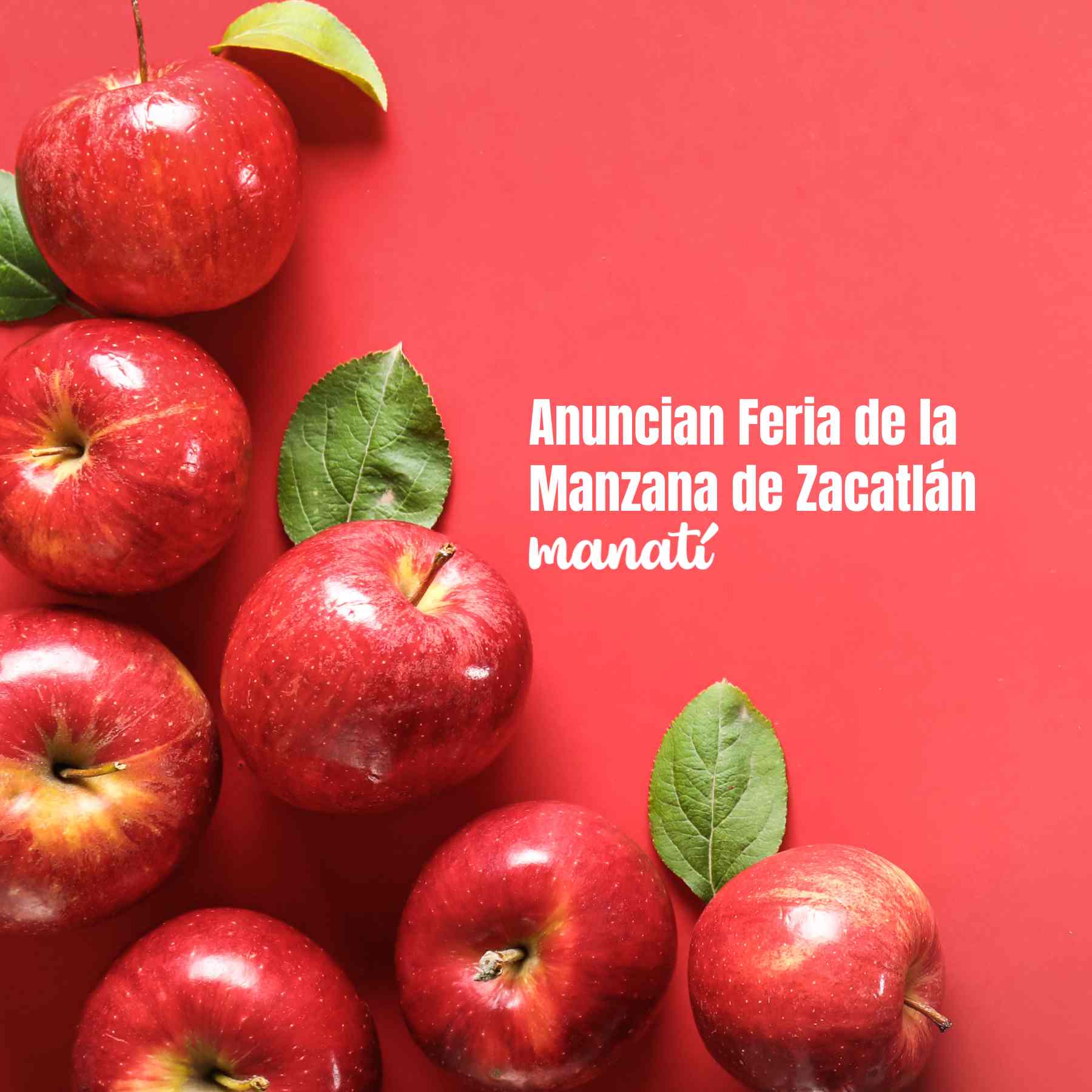 feria de la manzana zacatlán