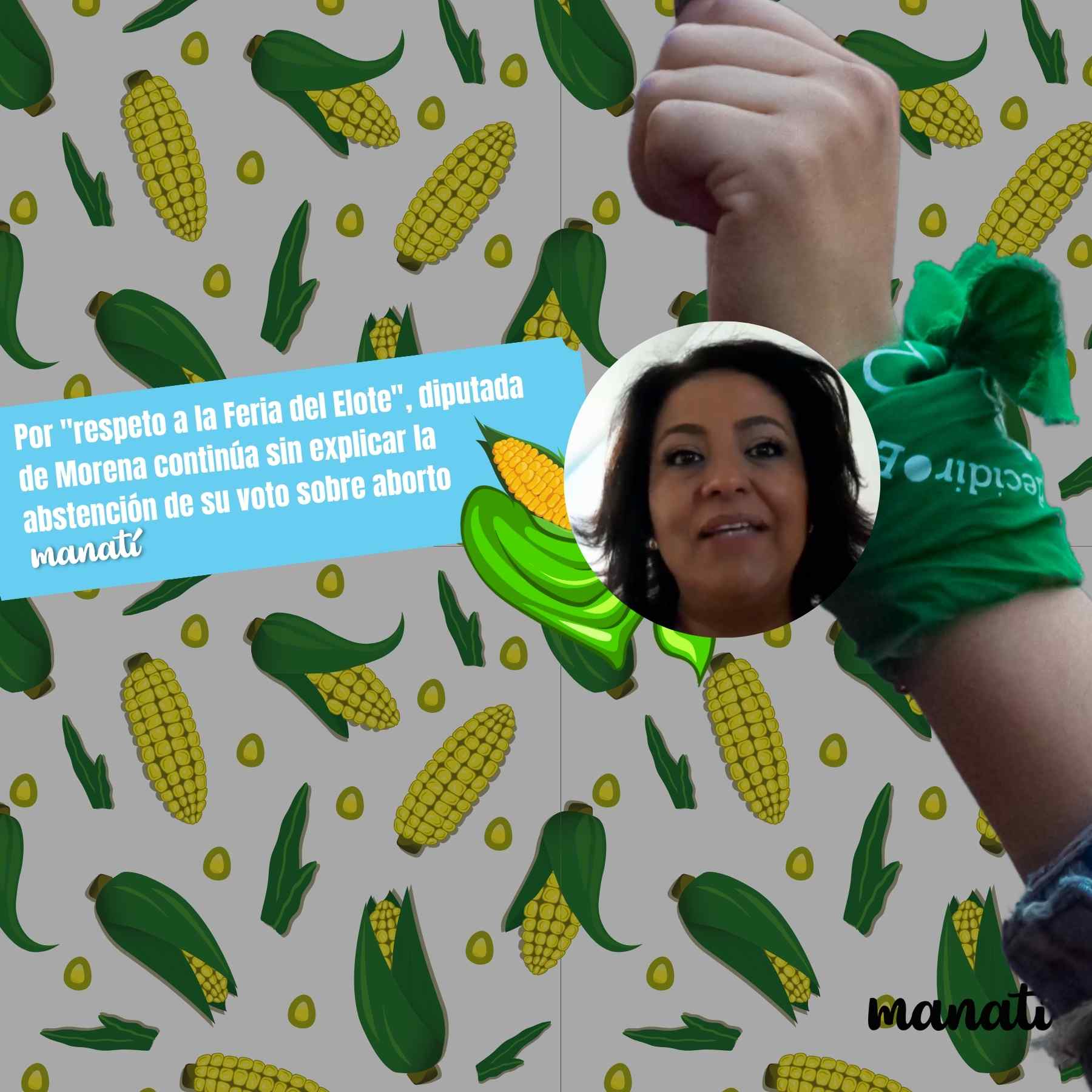 feria del elote diputada azucena aborto