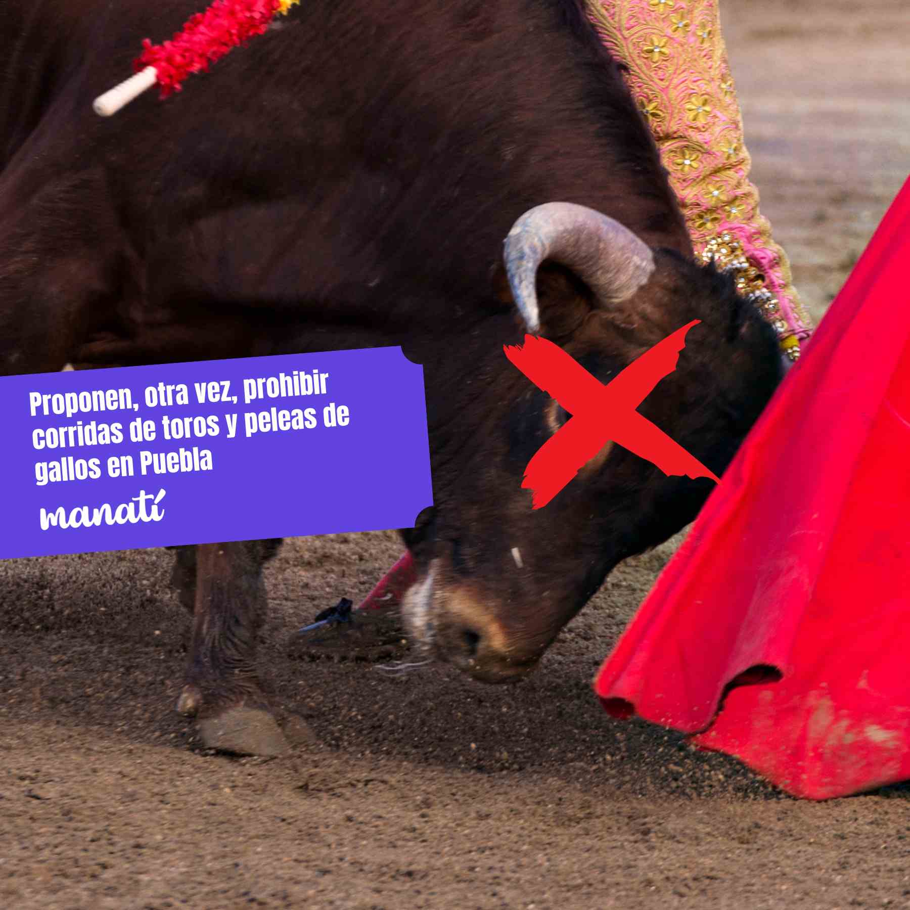 prohibir corridas de toros en puebla