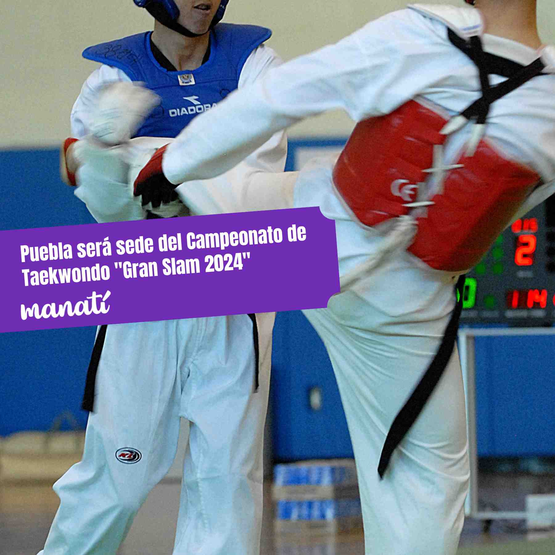 taekwondo puebla