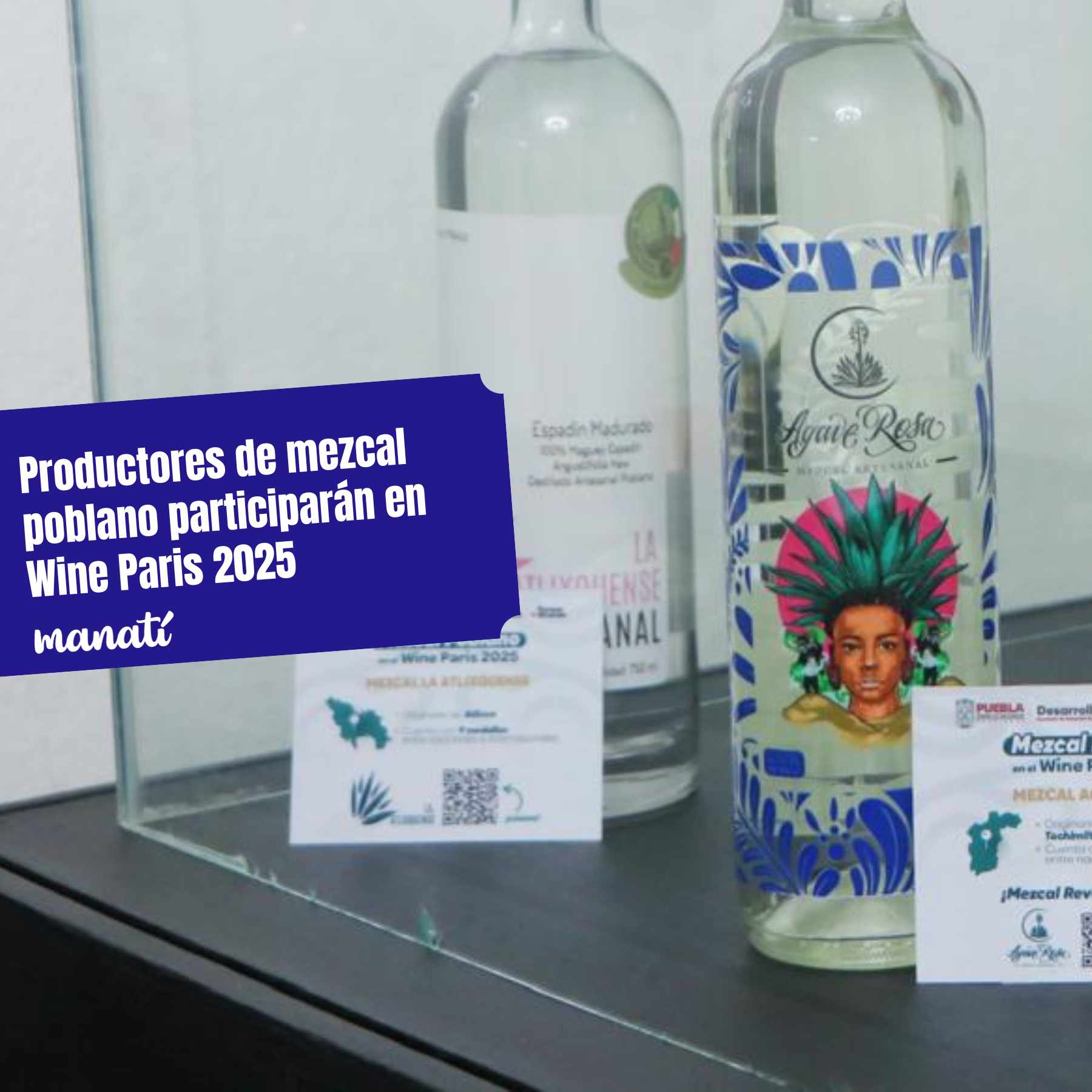 marcas de mezcal poblano