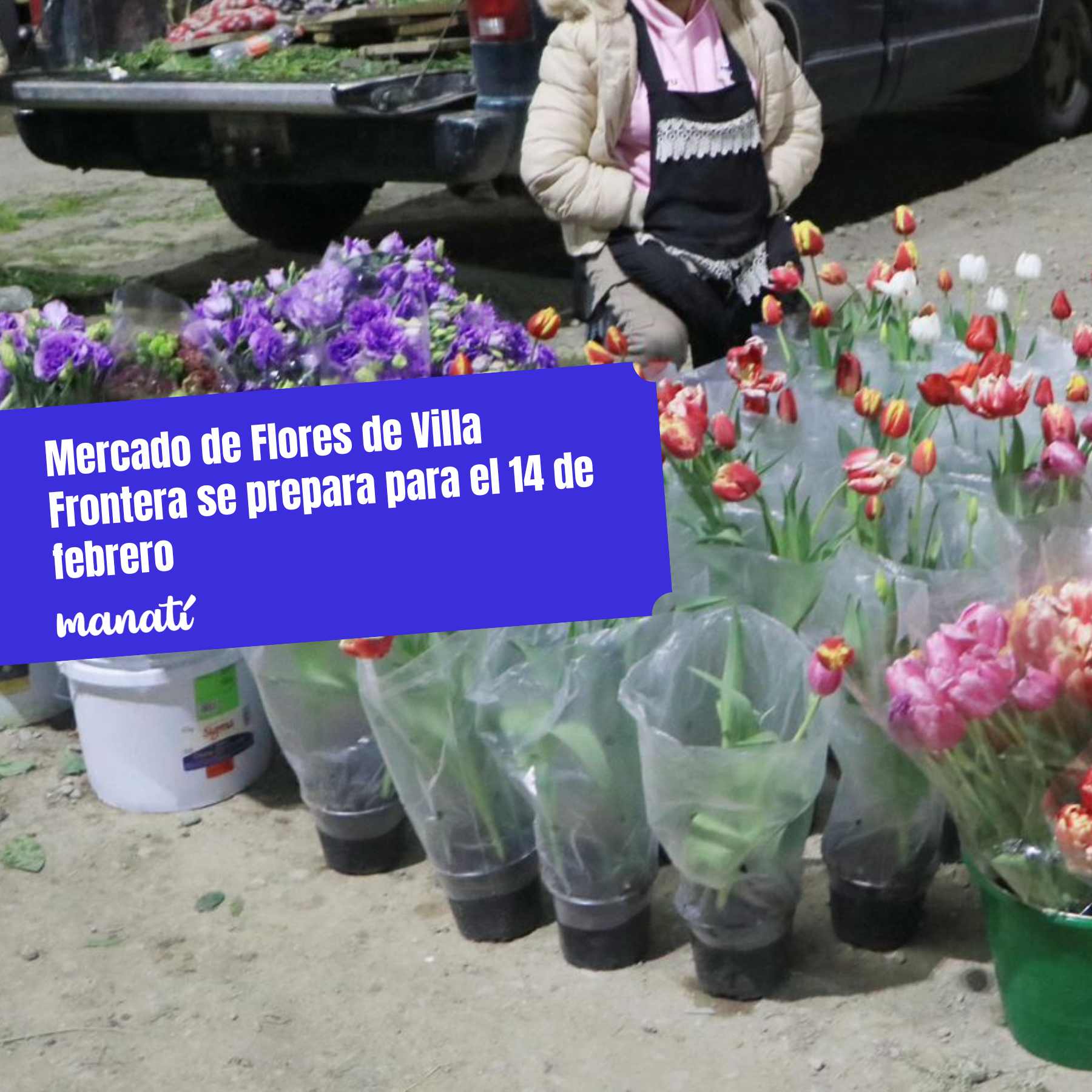 mercado de villa frontera puebla