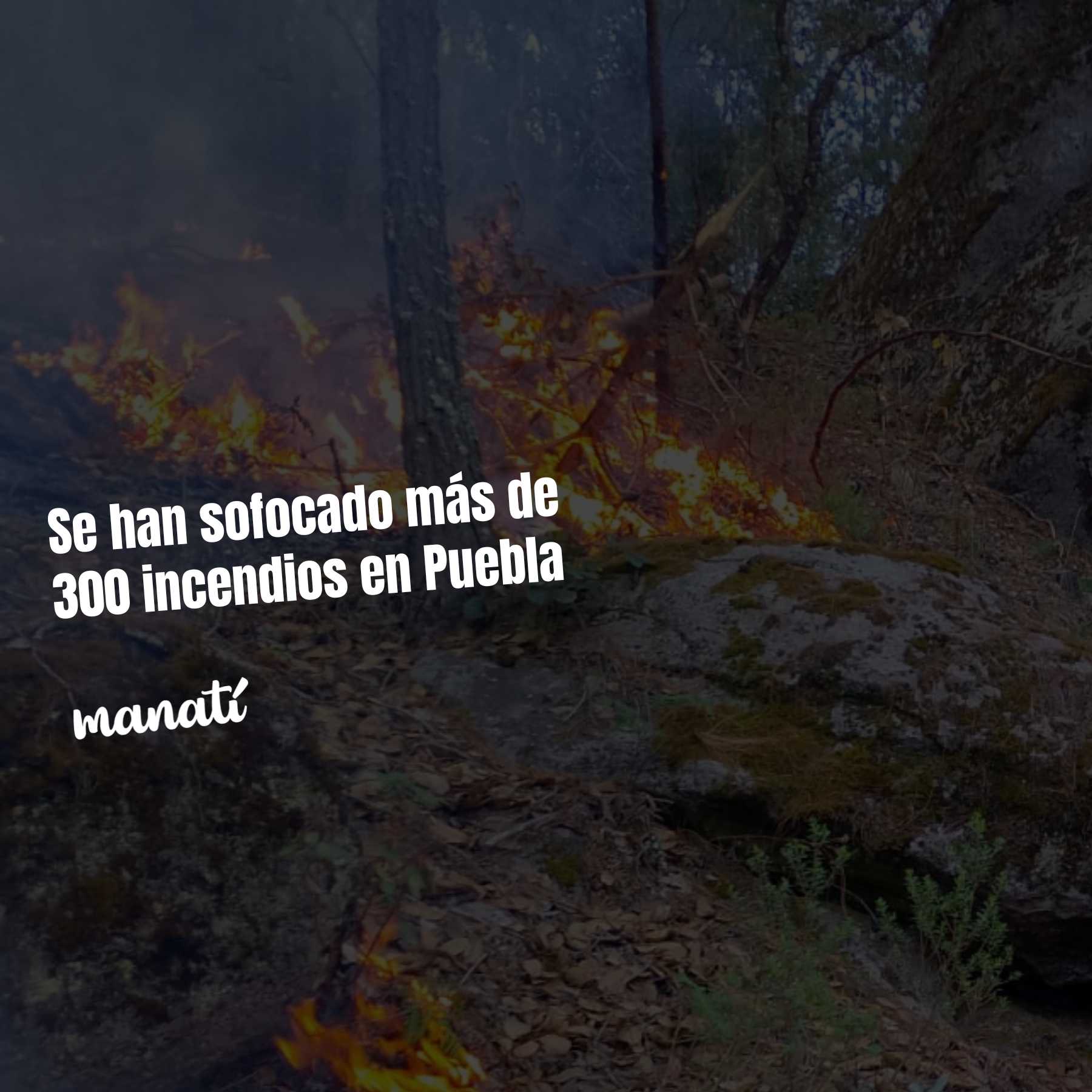 ¿Cuántos incendios se han sofocado en Puebla durante los últimos cinco meses? 301, de acuerdo con autoridades estatales.