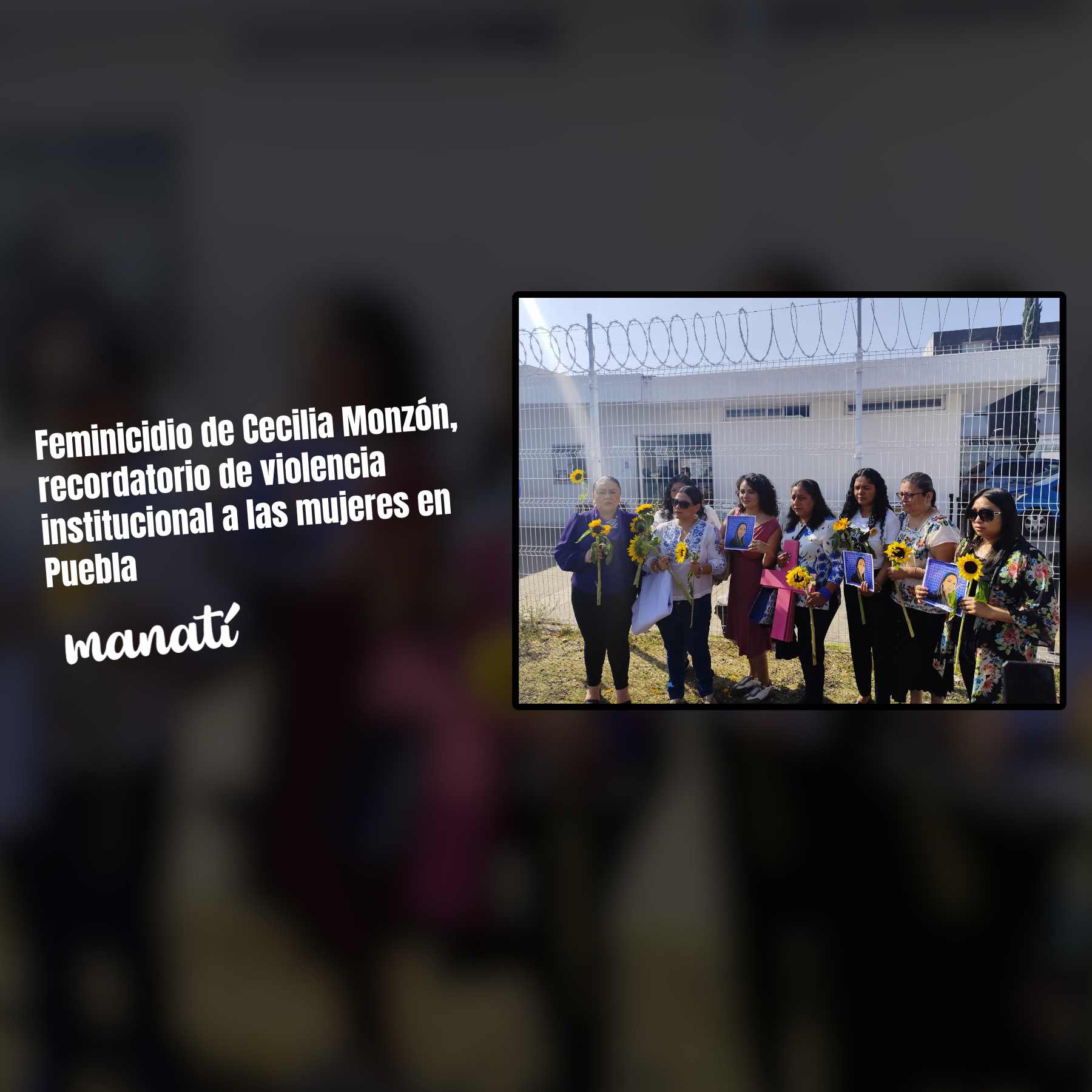 feminicidio de cecilia monzón