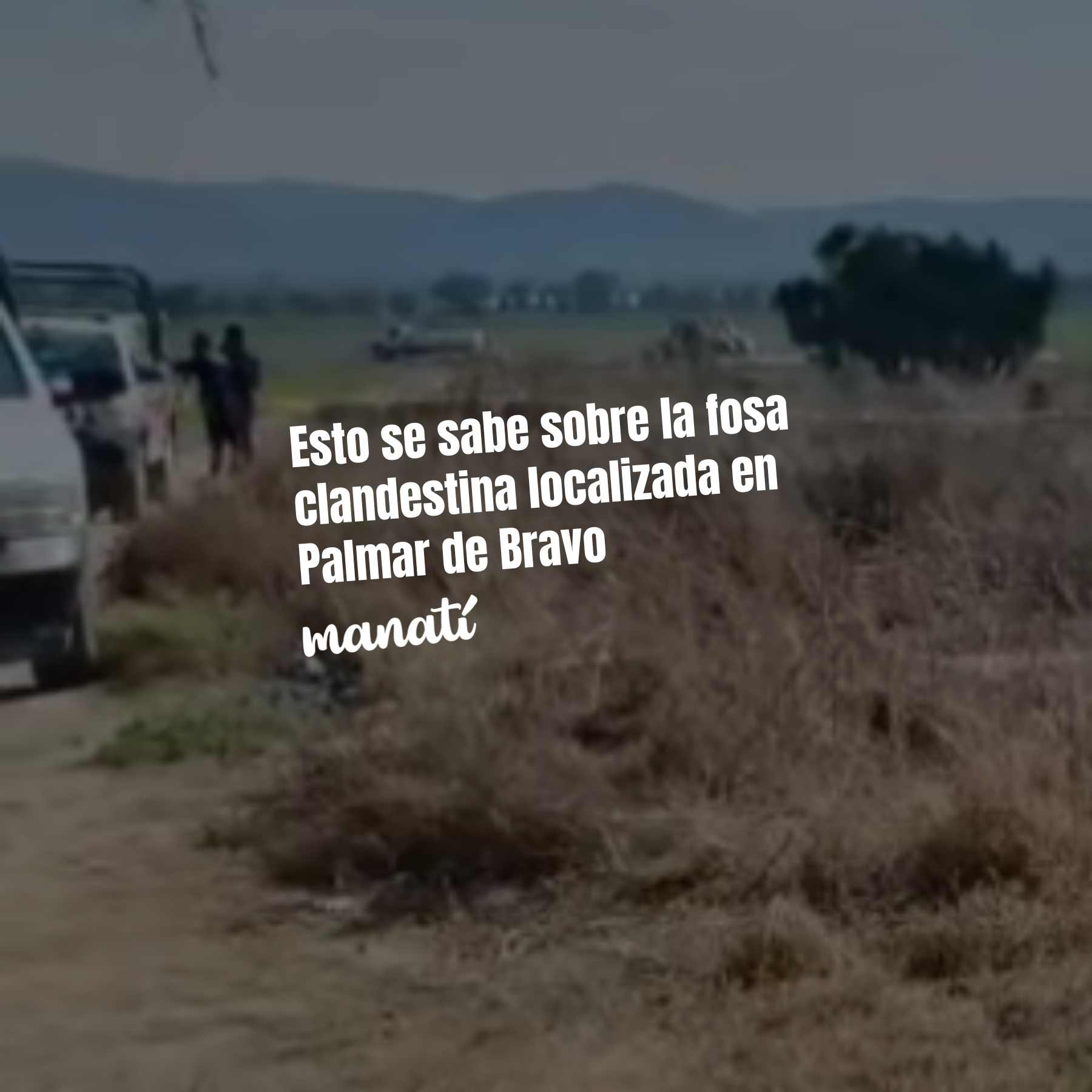 Familiares de personas desaparecidas denunciaron el hallazgo de una fosa clandestina en Palmar de Bravo.