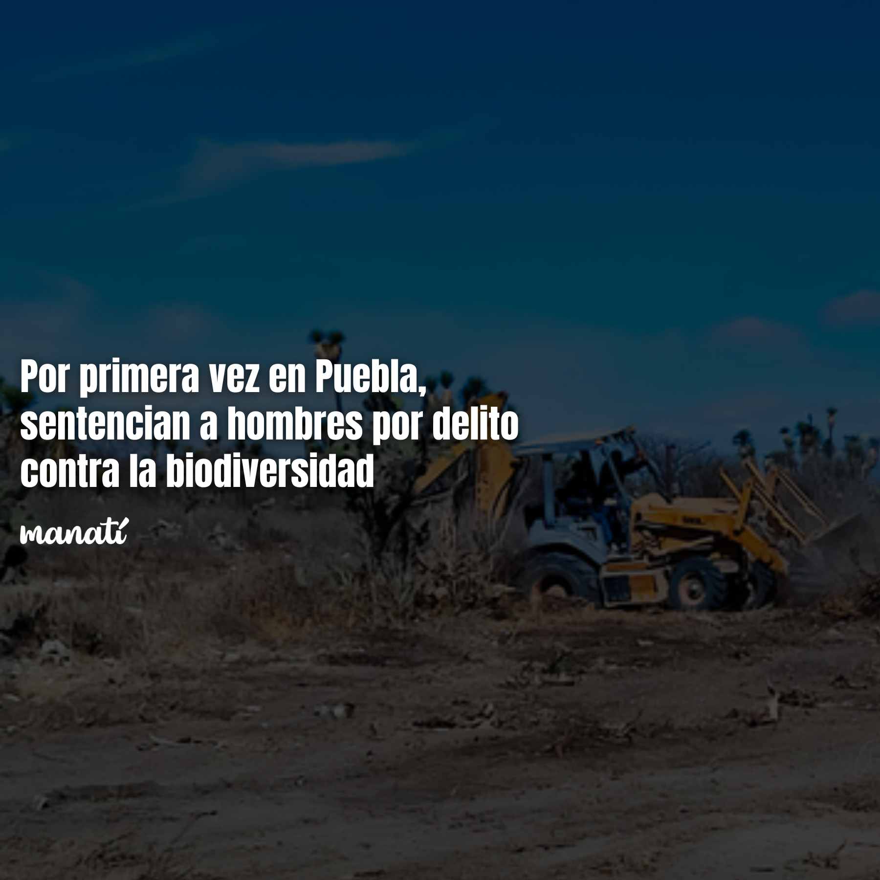 Por primera vez en Puebla, sentencian a hombres por delito contra la biodiversidad