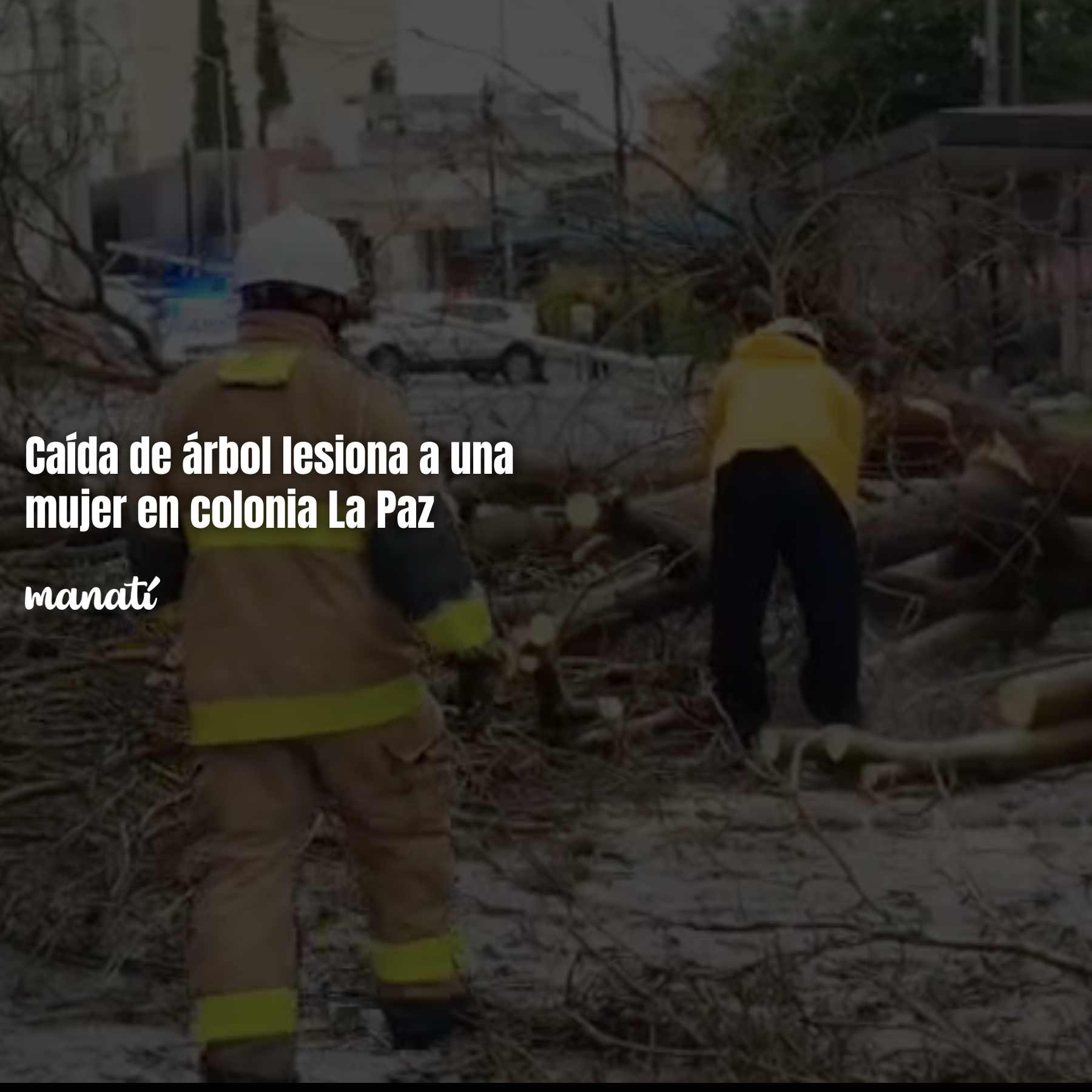 caída de árbol lesiona a mujer en puebla