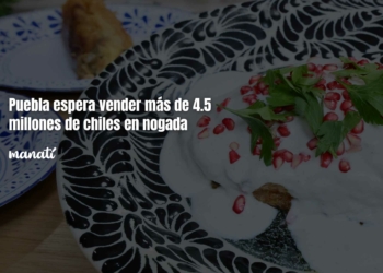 chiles en nogada puebla