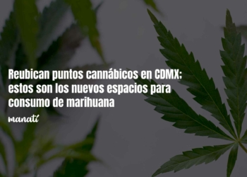 Reubican puntos cannábicos en CDMX; estos son los nuevos espacios para consumo de marihuana