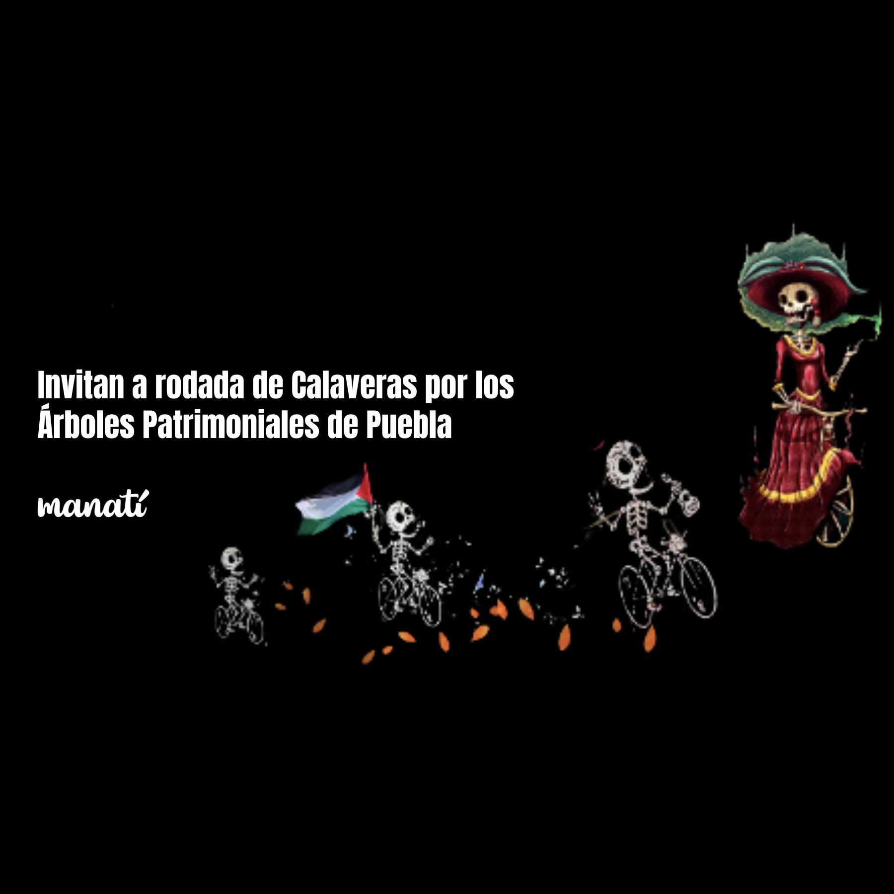 Invitan a rodada de Calaveras por los Árboles Patrimoniales de Puebla