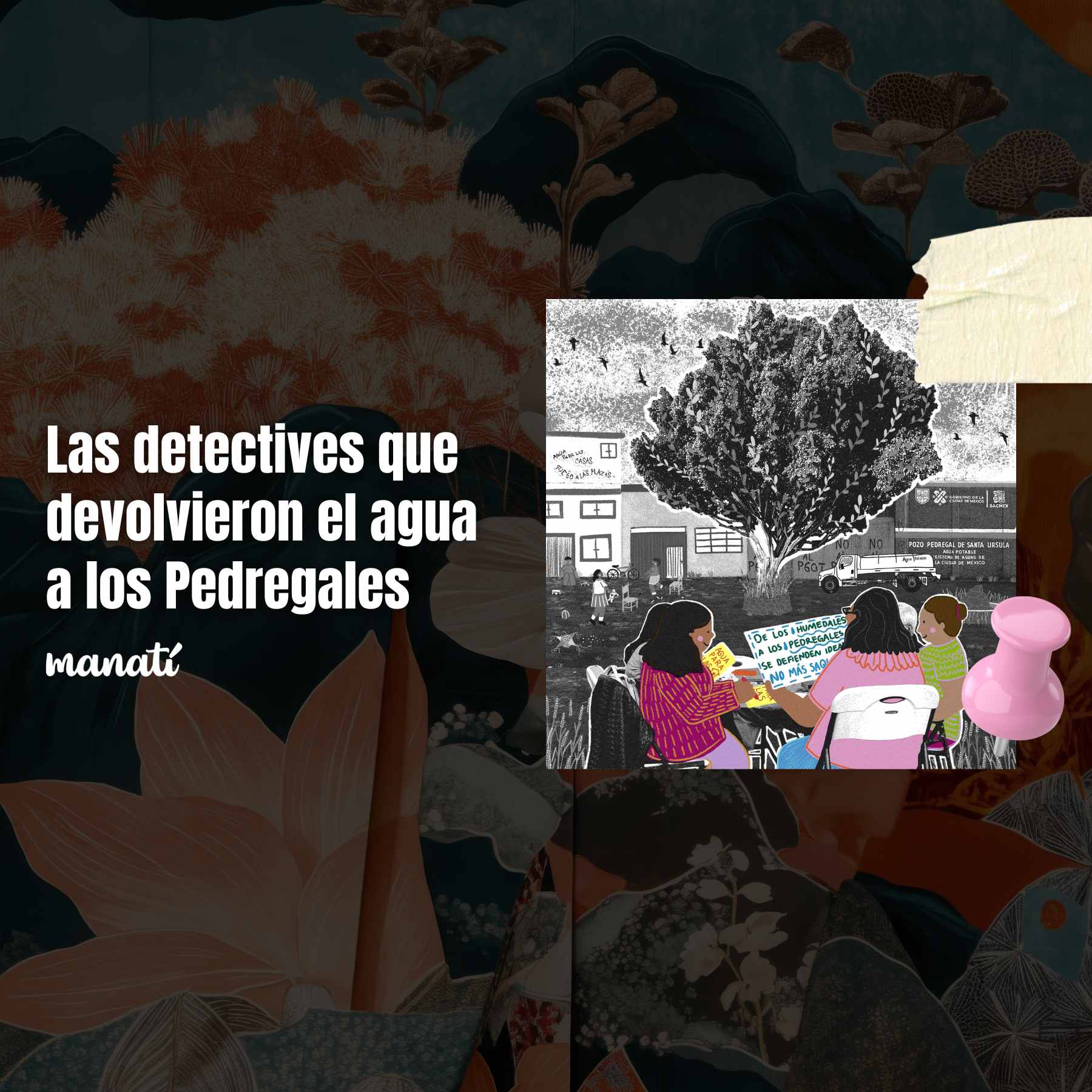 Las detectives que devolvieron el agua a los Pedregales