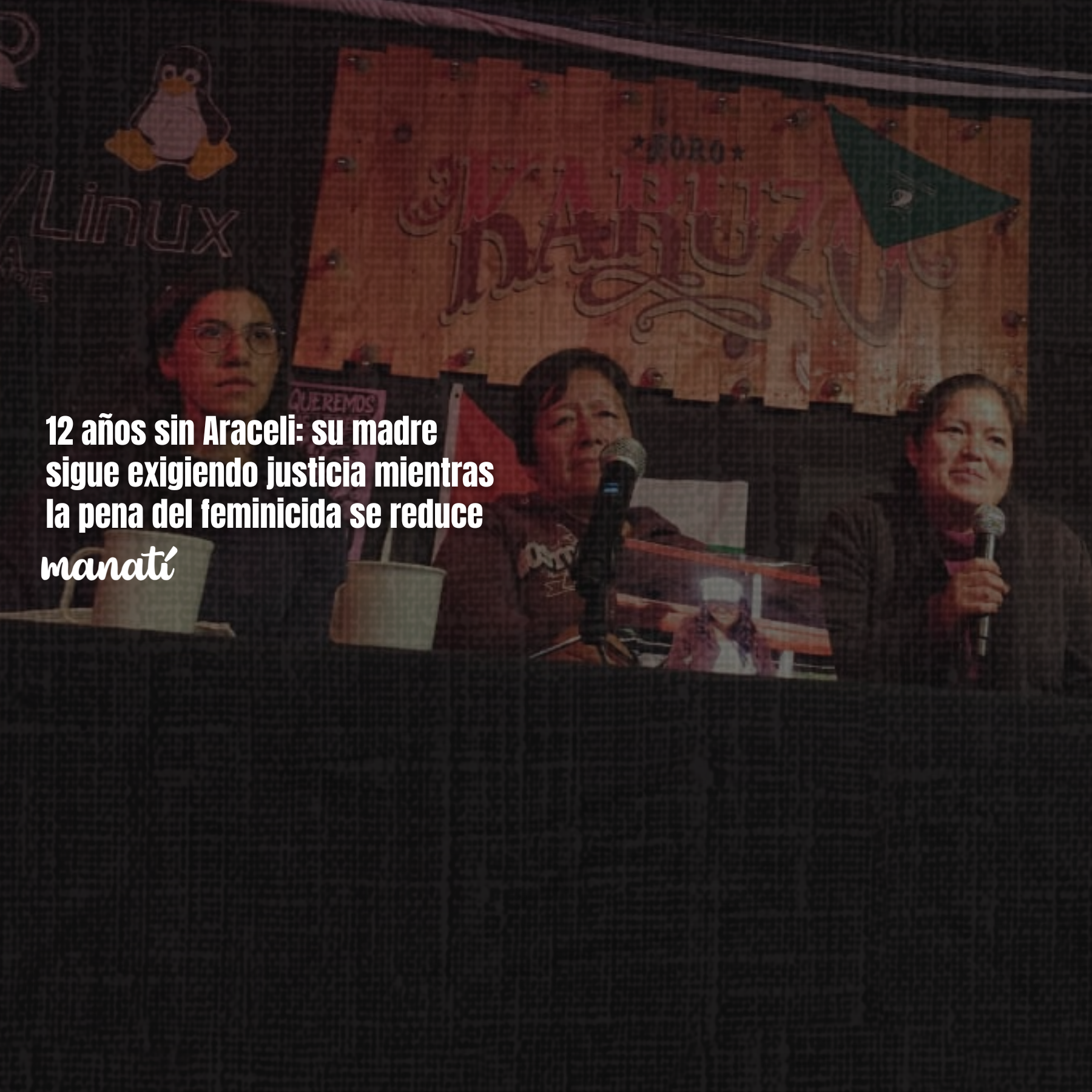 12 años sin Araceli: su madre sigue exigiendo justicia mientras la pena del feminicida se reduce