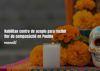 Habilitan centro de acopio para recibir flor de cempasúchil en Puebla