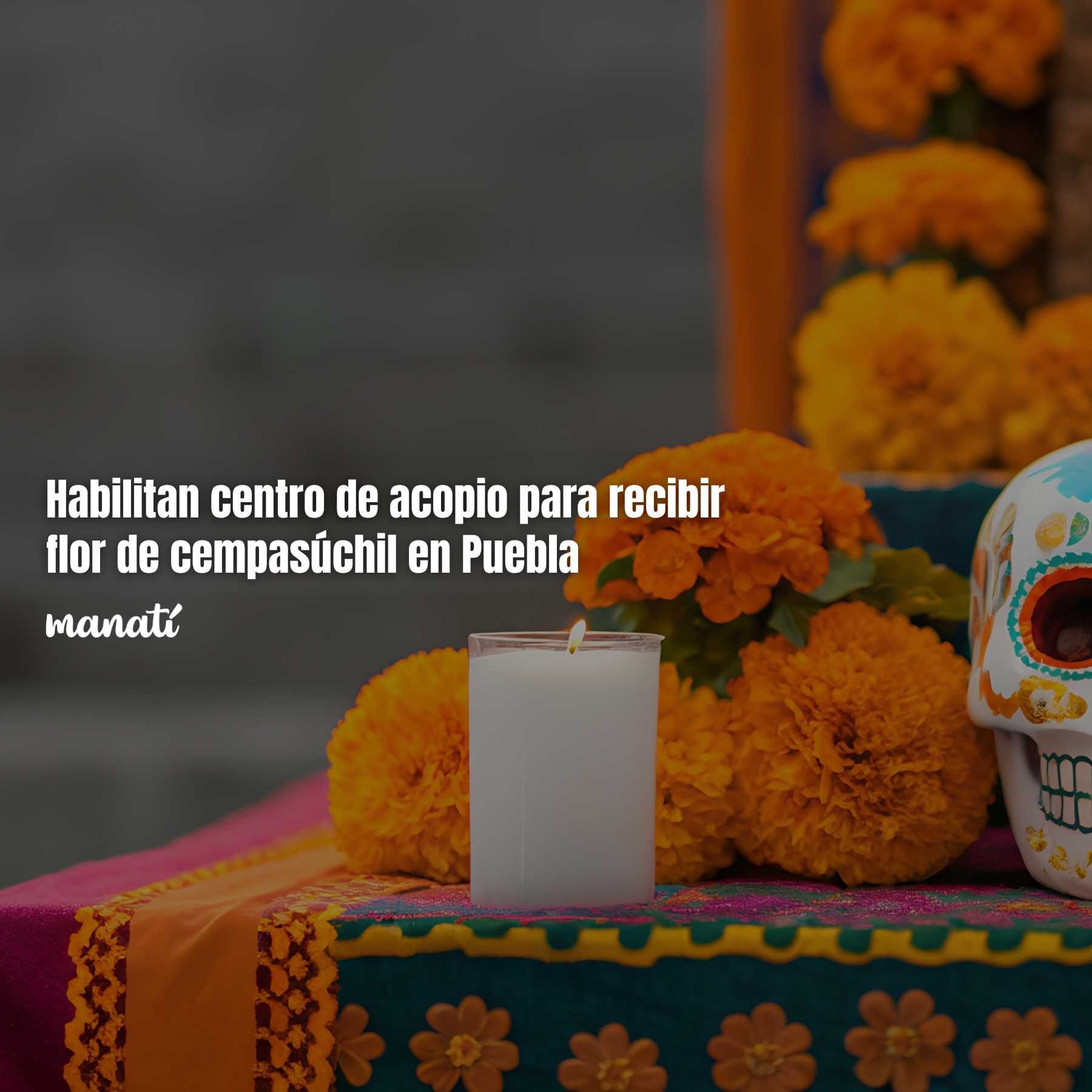 Habilitan centro de acopio para recibir flor de cempasúchil en Puebla