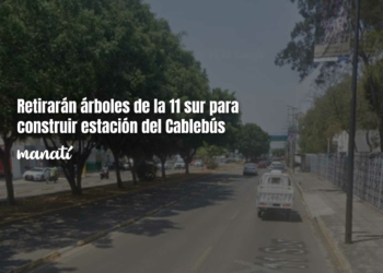 Retirarán árboles de la 11 sur para construir estación del Cablebús