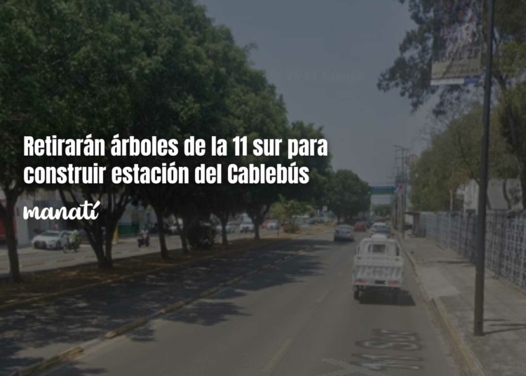 Retirarán árboles de la 11 sur para construir estación del Cablebús