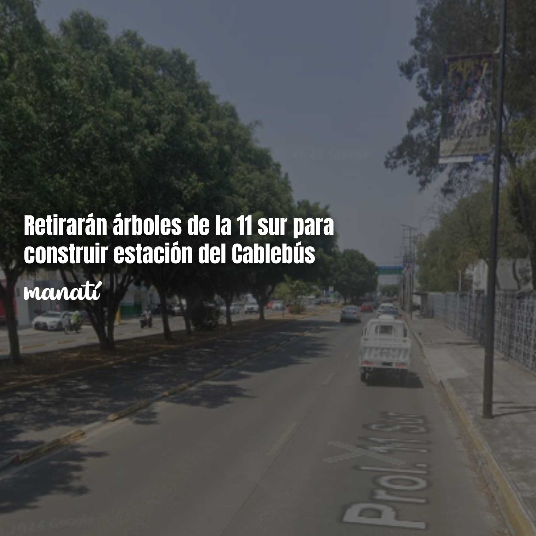Retirarán árboles de la 11 sur para construir estación del Cablebús