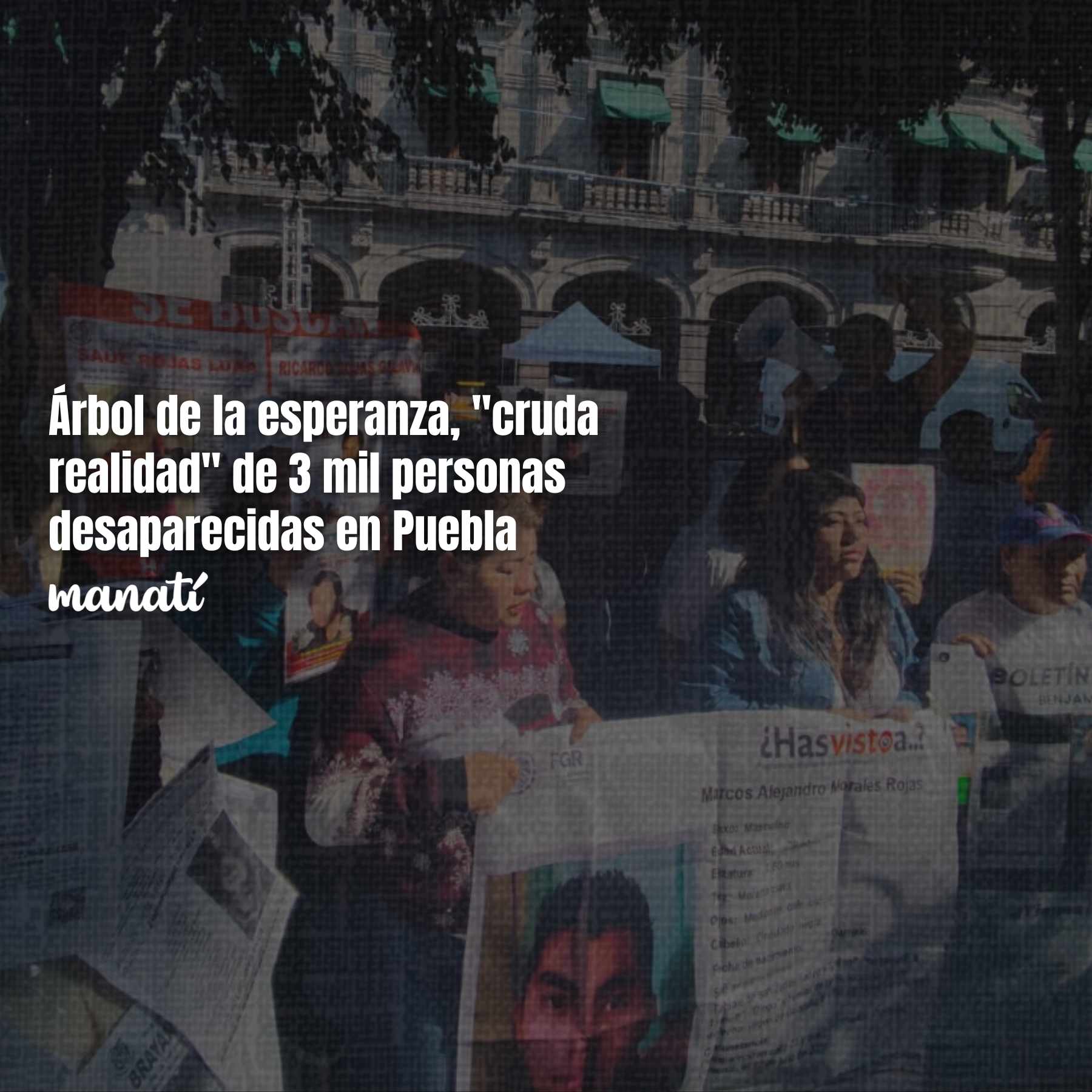 árbol de la esperanza puebla