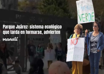 Parque Juárez: sistema ecológico que tarda en formarse, advierten