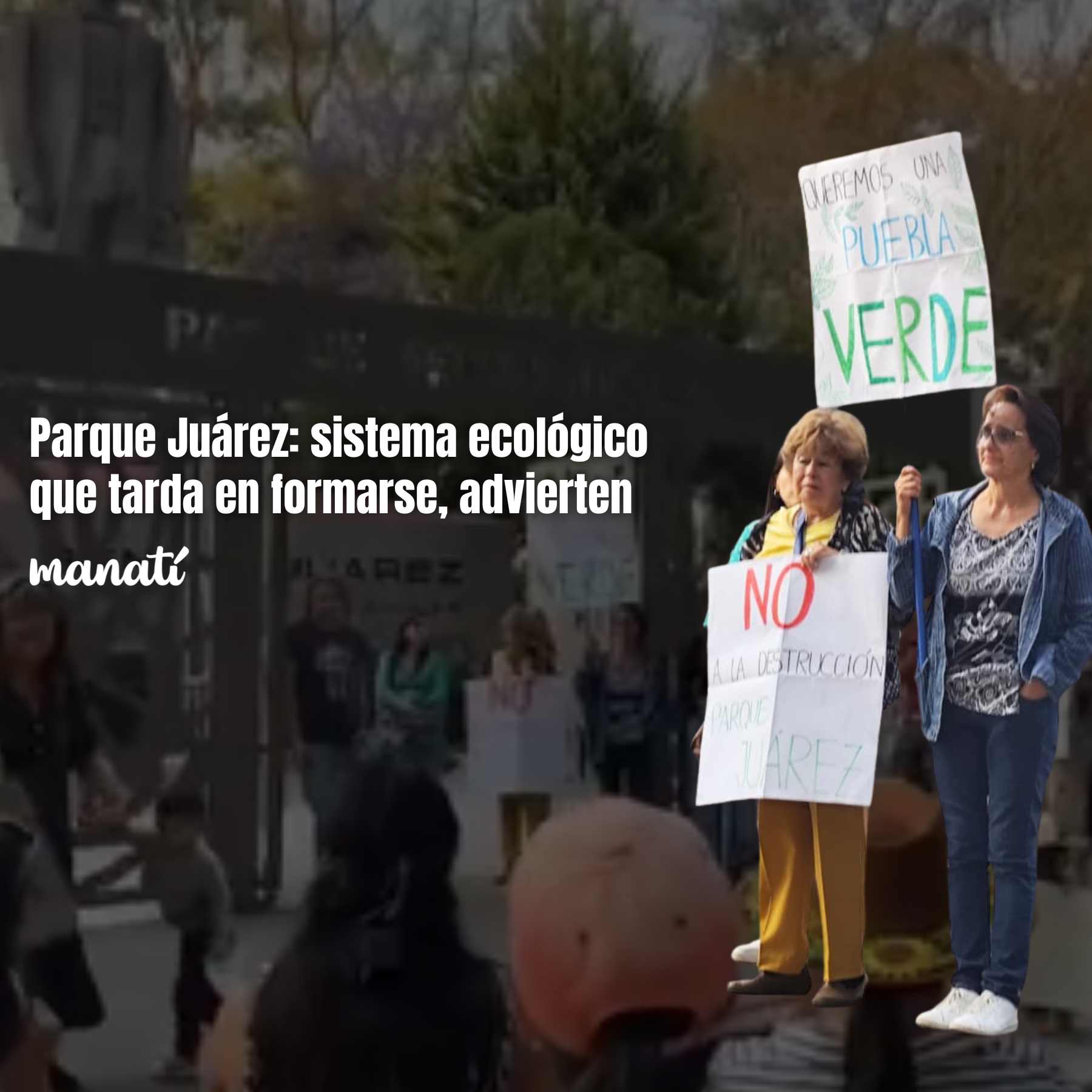Parque Juárez: sistema ecológico que tarda en formarse, advierten