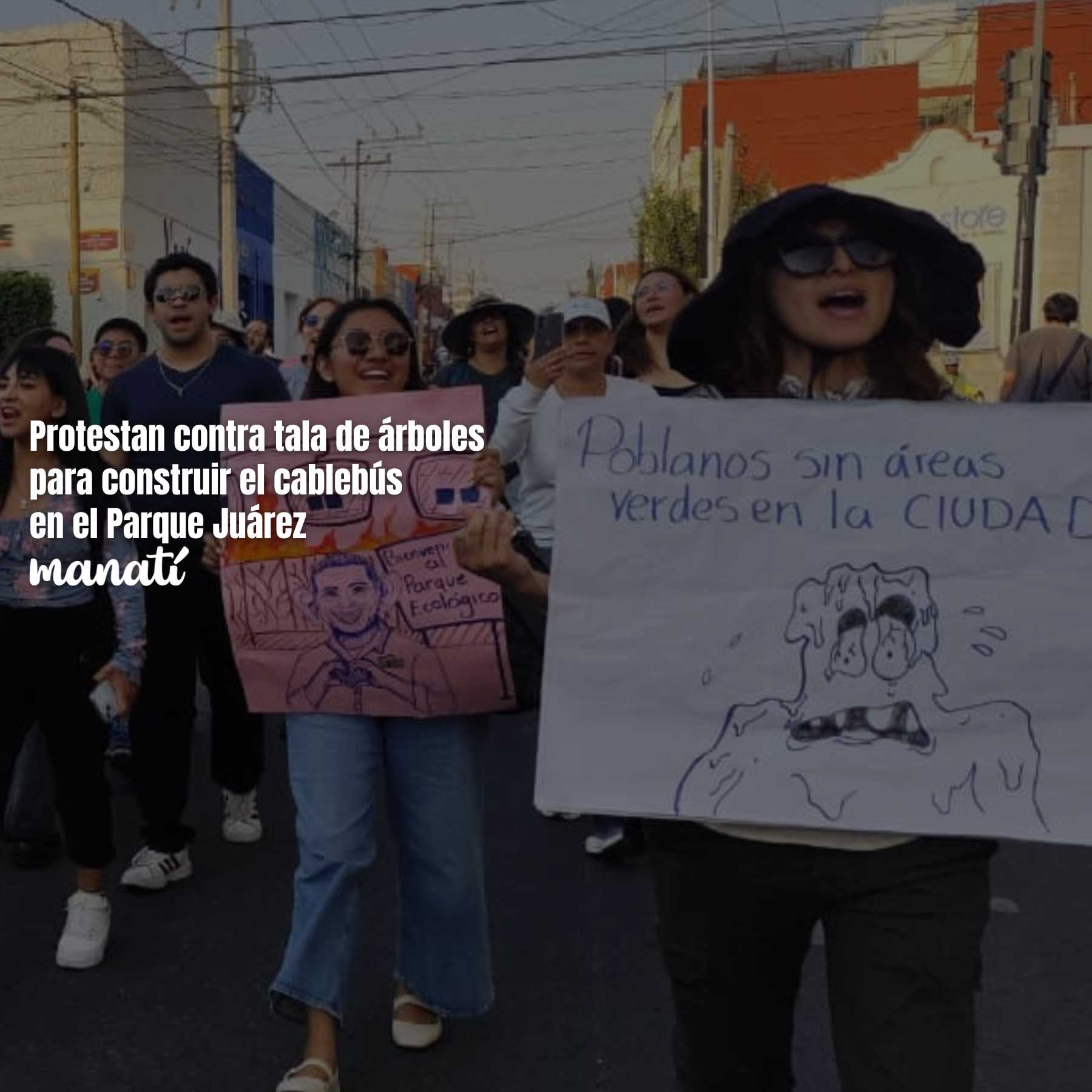 Protestan contra tala de árboles para construir el cablebús en el Parque Juárez