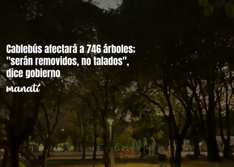 Cablebús afectará a 746 árboles; "serán removidos, no talados", dice gobierno