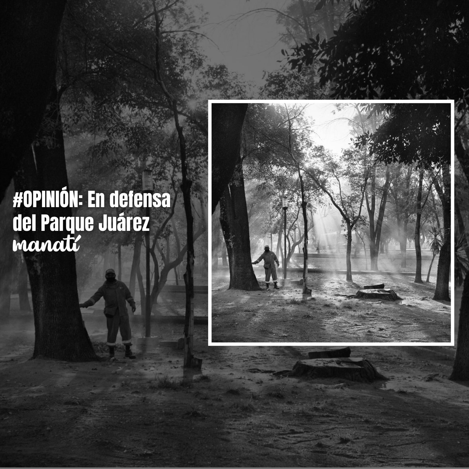 en defensa del parque juárez puebla